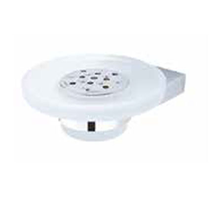 Anemone Accessory Series